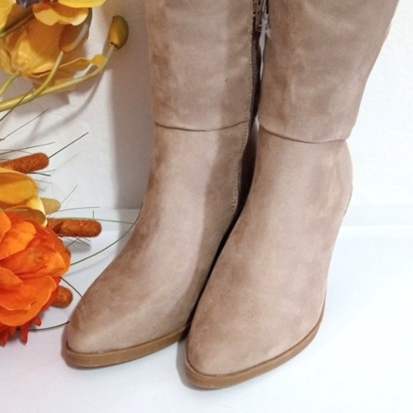 ANNELIESE TAUPE CALF-HIGH LONG BOOTS SIZE 7 NWT - Picture 3 of 11